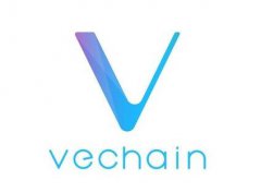 VeChain参加2019年上海国际区块链周