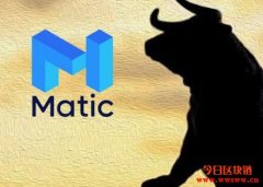 什么是Matic Network（MATIC）