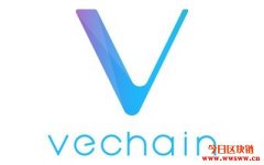 唯链推出网上直播的区块链网络研讨会VeChain BootCamp