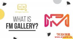 FM Gallery（FMG）：艺术碎片与盲盒创新元素的 NFT 艺术品发行平台