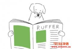 Ruffer投资总监透露：狗狗币热潮是公