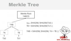 如何使用Node.js来生成Merkle tree