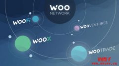 新加密货币交易平台WOO X登场，零手续费连结全球市场