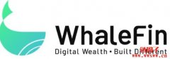 打开元宇宙，Amber Group推出一站式数字资产平台WhaleFin