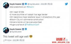 萨尔瓦多总统Nayib Bukele：比特币今年