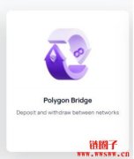 如何使用Polygon桥？