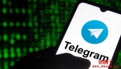 关于Telegram惊天爆料，前风投合伙人：引诱大户上钩的好方法