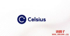 Celsius 资产对股东权益比曾接近一般美国银行的两倍