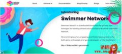 什么是Swimmer Network（子网）？